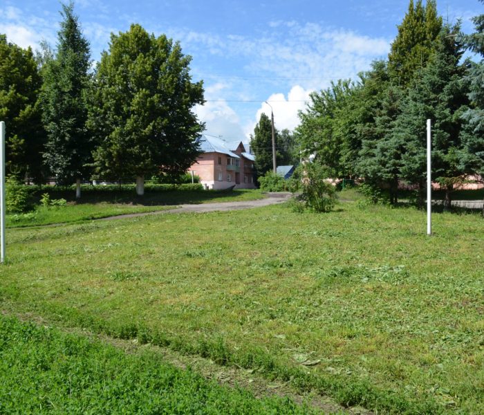 Праздник радости для маленьких жителей Богородицкого района