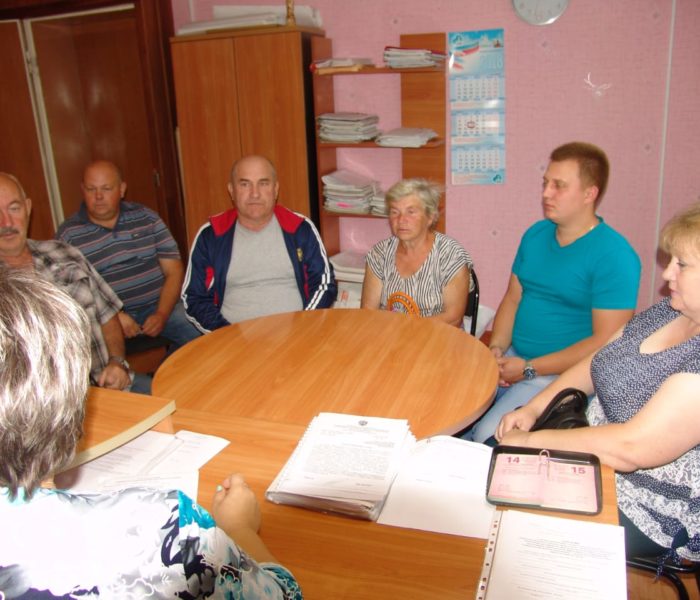 Обсуждение проектов развития территории на встречах  с сельскими старостами