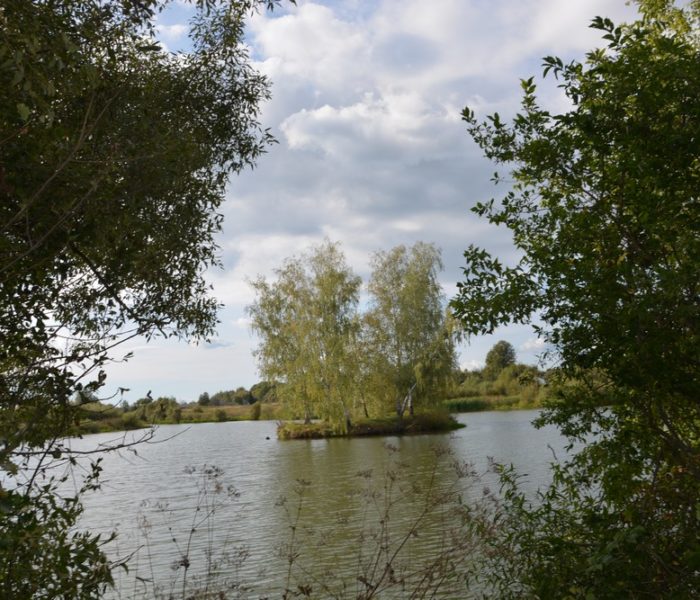 Не исчезай, моё село…