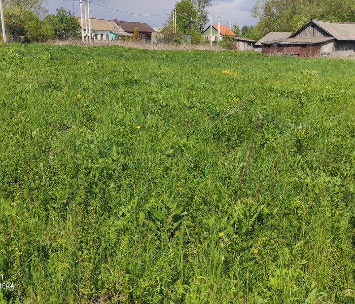 Село Исаково Веневского района украсит площадка для досуга и отдыха