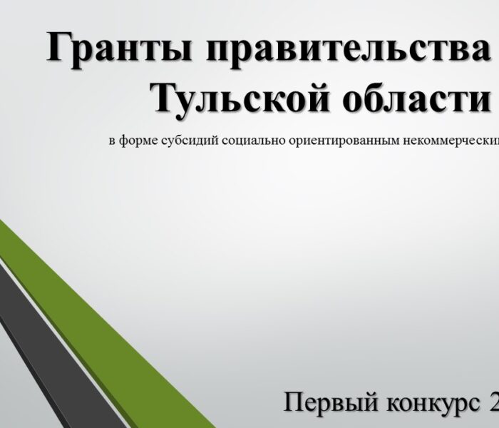 Итоги вебинара по участию в грантовом конкурсе правительства Тульской области для СОНКО
