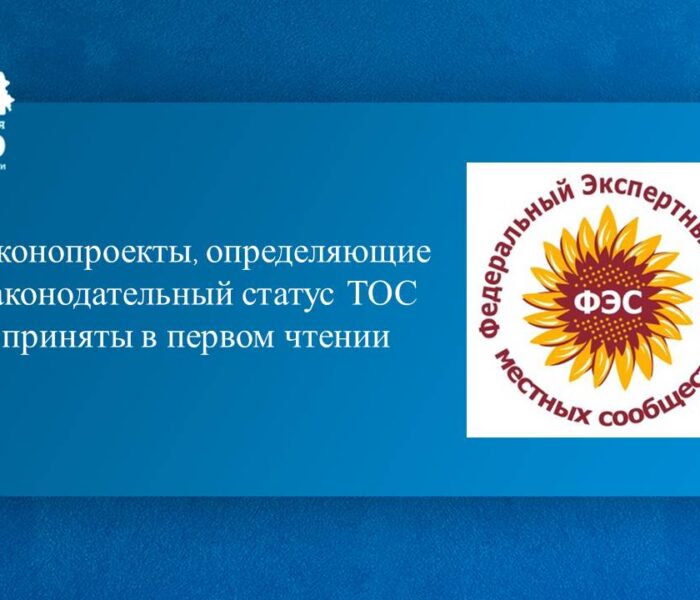 Депутаты Государственной Думы поддержали в первом чтении два законопроекта, определяющих законодательный статус территориального общественного самоуправления.
