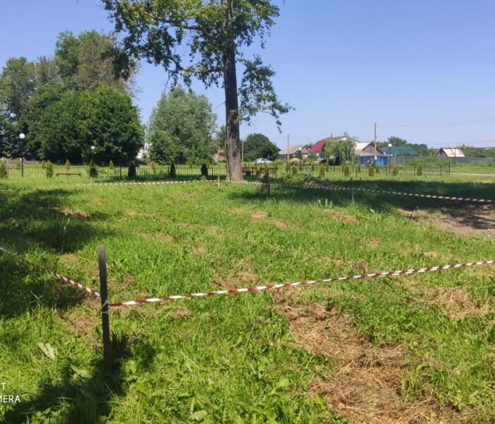 Ассоциация «СМО Тульской области» проводит встречи с руководителями ТОС и сельскими старостами – победителями конкурса инициативных проектов