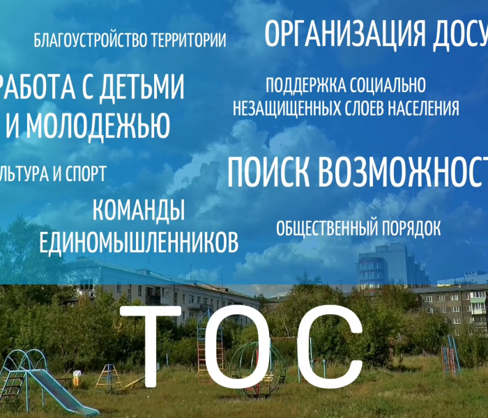 Что такое территориальное общественное самоуправление (ТОС)?