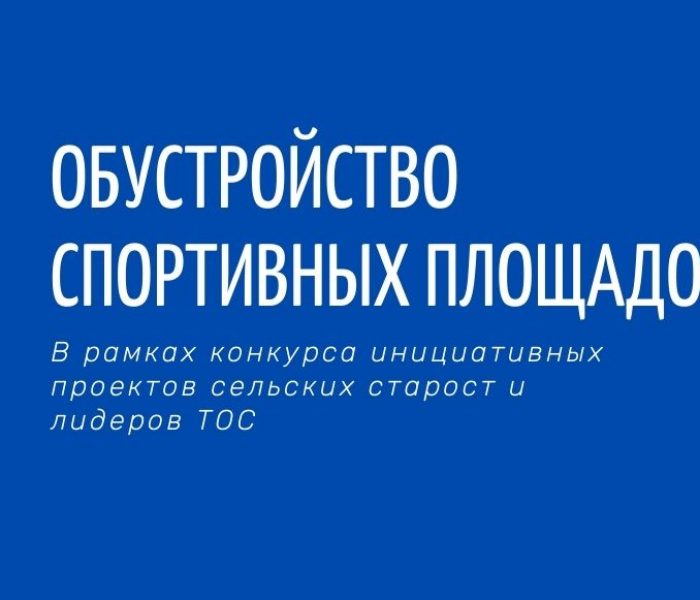 Обустройство спортивных площадок в рамках конкурса инициативных проектов сельских старост и лидеров ТОС